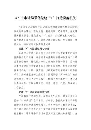 XX市审计局强化党建“+”打造模范机关.docx