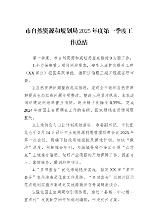 市自然资源和规划局2025年度第一季度工作总结.docx