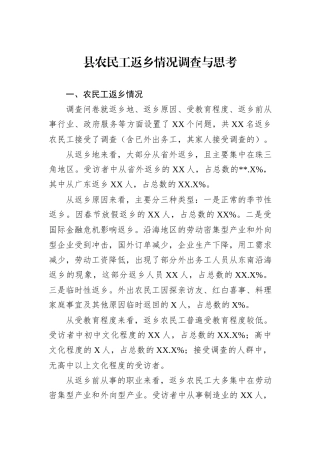 县农民工返乡情况调查与思考.docx