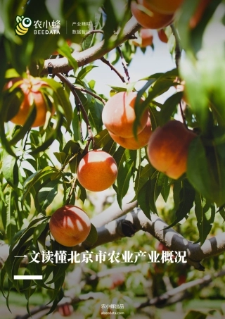 农小蜂-一文读懂北京市农业产业概况-53页.pdf