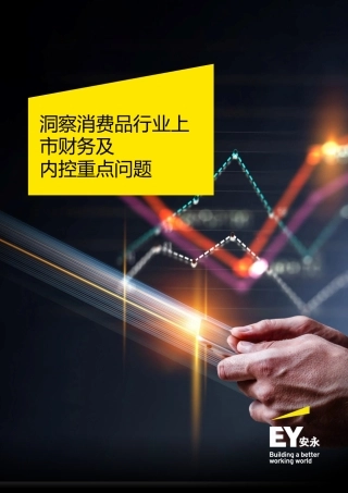 洞察消费品行业上市财务及内控重点问题-11页.pdf