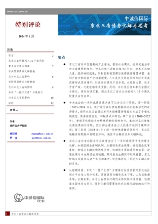 东北三省债务化解再思考-13页.pdf