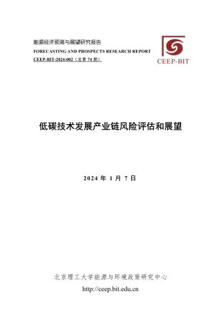 低碳技术发展产业链风险评估和展望-18页.pdf