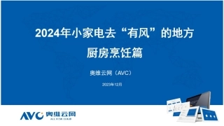 【家电报告】2024年小家电去“有风”的地方——厨房烹饪篇-6页.pdf
