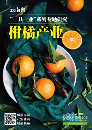 云南省“一县一业”系列专题研究-柑橘产业-22页.pdf