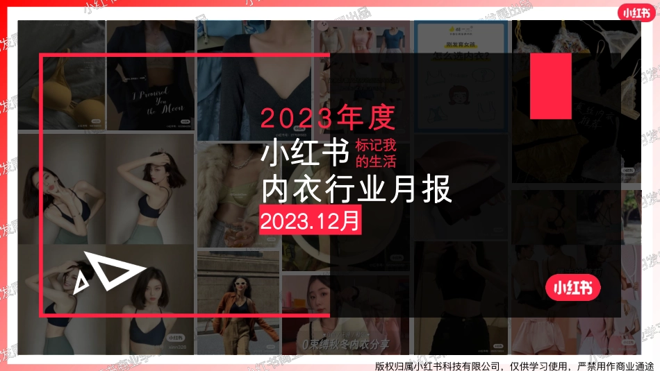 小红书·2023年内衣行业月报-12月-20页.pdf_第1页