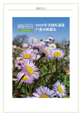 唯恒农业-全国灯盏花产业分析报告-27页.pdf