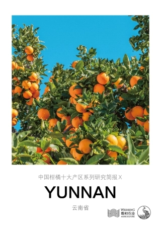 农小蜂-中国柑橘十大产区系列研究简报（十）-云南省-10页.pdf