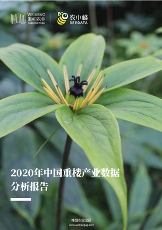 农小蜂-中国重楼产业数据分析简报-13页.pdf