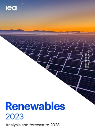 可再生能源2023至2028年的分析及预测Renewables_2023-英-143页.pdf
