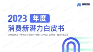 2023年度消费新潜力白皮书-魔镜洞察-2023-172页.pdf