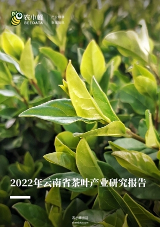 2022年云南省茶叶产业研究简报-13页.pdf