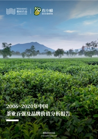2006~2020年中国茶业百强及品牌价值分析简报-13页.pdf