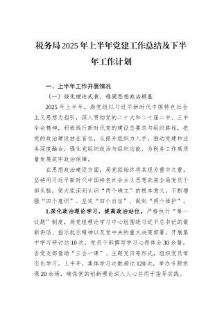 税务局2025年上半年党建工作总结及下半年工作计划.docx