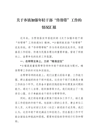 关于乡镇加强年轻干部“传帮带”工作的情况汇报.docx