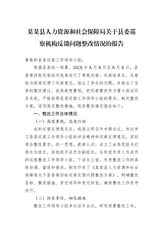 某某县人力资源和社会保障局关于县委巡察机构反馈问题整改情况的报告.docx