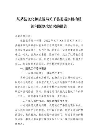 某某县文化和旅游局关于县委巡察机构反馈问题整改情况的报告.docx
