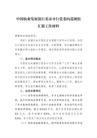 中国农业发展银行某市分行党委向巡视组汇报工作材料.docx