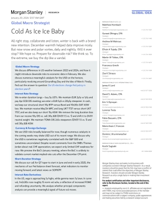 Morgan Stanley Fixed-Global Macro Strategist Cold As Ice Ice Baby-106039478.pdf
