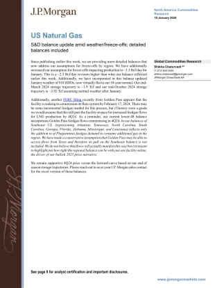 JPMorgan Econ  FI-US Natural Gas SD balance update amid weatherfreeze-offs; ...-106018401.pdf
