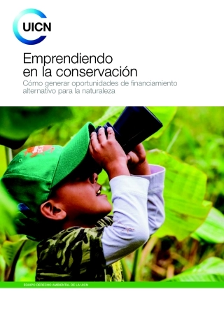 保育企业家精神（英）-61页.pdf