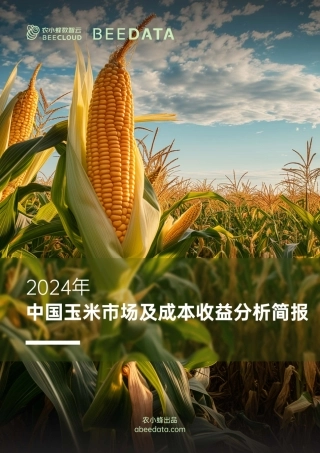 2024年中国玉米市场及成本收益分析简报-14页.pdf