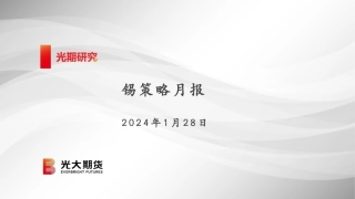 锡策略月报-20240128-光大期货-22页.pdf