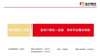 棉花期货11月报：复苏行情告一段路 等待节后需求明朗-20240201-金石期货-28页.pdf