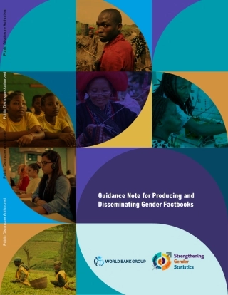 世界银行-制作和传播性别概况的指导说明（英）-54页.pdf
