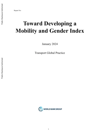 世界银行-制定流动性和性别指数（英）-2024.1-45页.pdf
