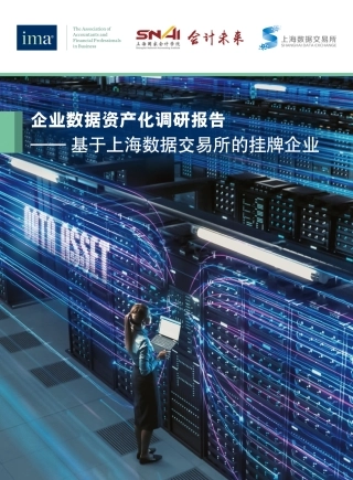 企业数据资产化调研报告（上海）-36页.pdf
