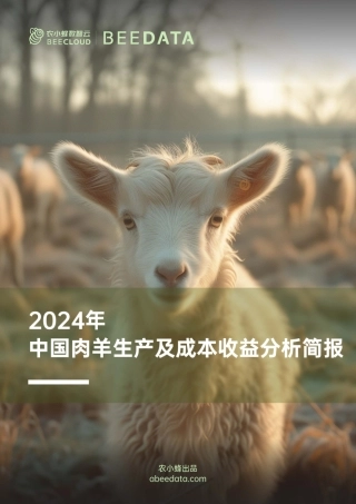 2024年中国肉羊生产及成本收益分析简报-17页.pdf