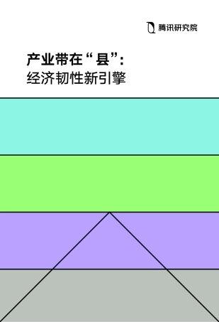 2024年产业带在“县”：经济韧性新引擎报告-56页.pdf