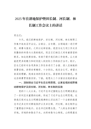 2025年在耕地保护暨田长制、河长制、林长制工作会议上的讲话.docx