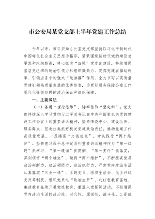 市公安局某党支部上半年党建工作总结.docx