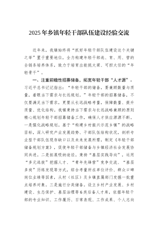 2025年乡镇年轻干部队伍建设经验交流.docx