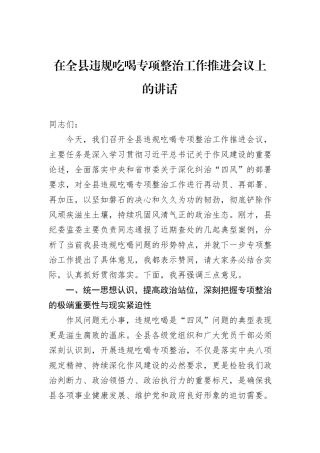 在全县违规吃喝专项整治工作推进会议上的讲话.docx