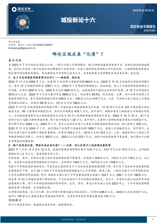 城投新论十六：哪些区域在真“化债”？-20240203-国金证券-15页.pdf