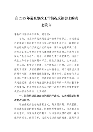 在2025年巡查整改工作情况反馈会上的表态发言.docx