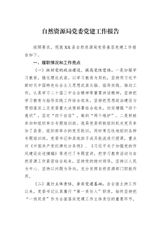 自然资源局党委党建工作报告.docx