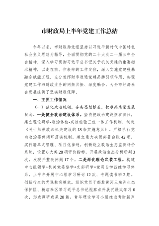 市财政局上半年党建工作总结.docx
