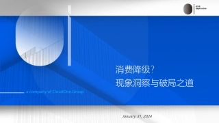 消费降级？现象洞察与破局之道报告-OI咨询-2024.1.31-92页.pdf