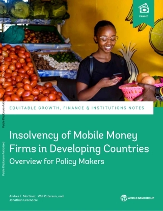 世界银行-发展中国家移动货币公司破产：决策者综述（英）-2024-21页.pdf