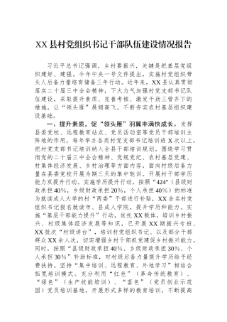 XX县村党组织书记干部队伍建设情况报告.docx