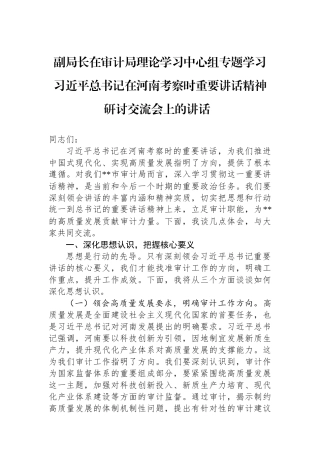 副局长在审计局理论学习中心组专题学习习近平总书记在河南考察时重要讲话精神研讨交流会上的讲话.docx