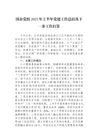 国企党组2025年上半年党建工作总结及下一步工作打算.docx