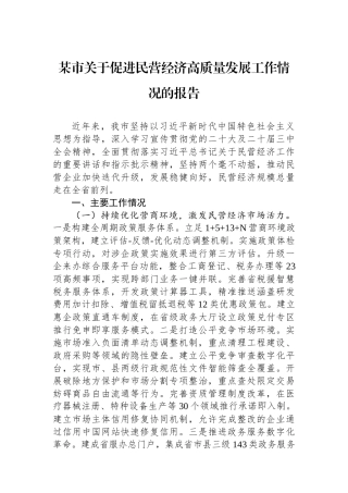 某市关于促进民营经济高质量发展工作情况的报告.docx