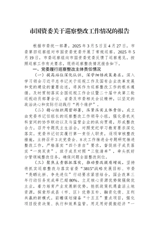 市国资委关于巡察整改工作情况的报告.docx