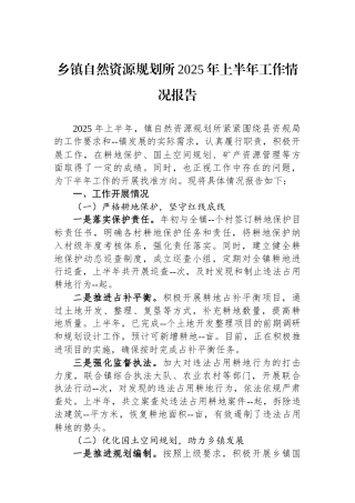 乡镇自然资源规划所2025年上半年工作情况报告.docx