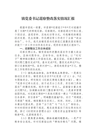 镇党委书记巡察整改落实情况汇报.docx